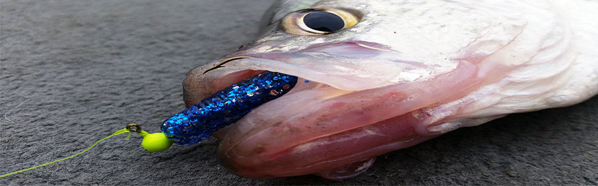 20 Testine Jig Crappie Seasky – 1/16 E 1/8 Oz Con Occhi 3D – Per Pesca In Acqua Dolce/Salata