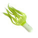 Crappie Magnum Tube 2.0"